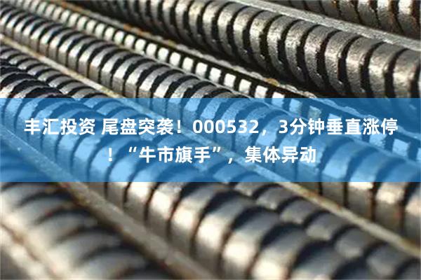 丰汇投资 尾盘突袭！000532，3分钟垂直涨停！“牛市旗手”，集体异动