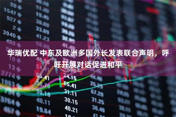华瑞优配 中东及欧洲多国外长发表联合声明,呼吁开展对话促进和平
