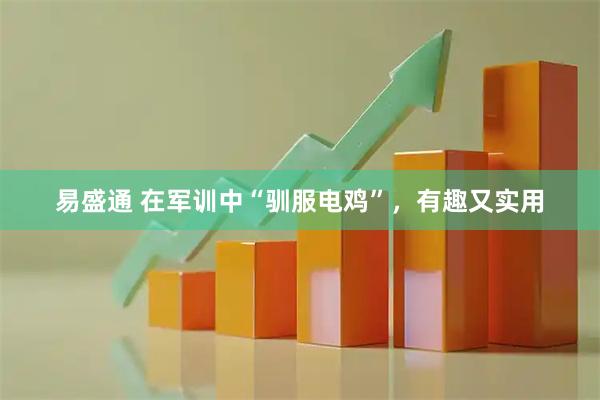 易盛通 在军训中“驯服电鸡”,有趣又实用
